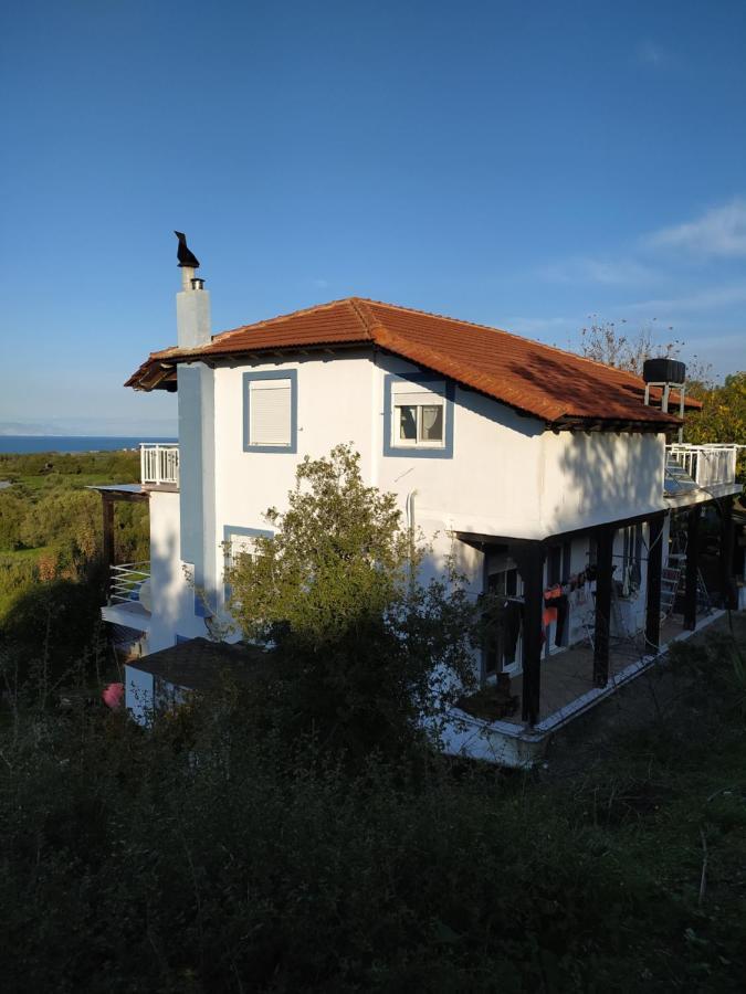 Apartment Alexandra